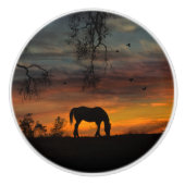 Dekoration der Knobs und Pulls im Südwesten Keramikknauf (Vorderseite)