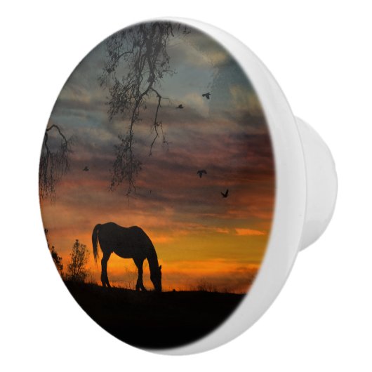 Dekoration der Knobs und Pulls im Südwesten Keramikknauf (Rechts)