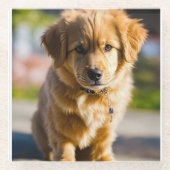 Dekoration Glasuntersetzer (Vorderseite)