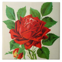 Dekoration in niedlicher Vintager rote Rose