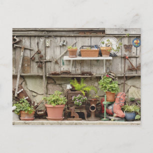 Dekorationen auf Holzzaun, Katalina, Postkarte