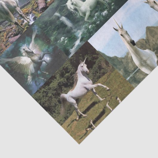 Dekorationspapier Seidenpapier (Ausschnitt)