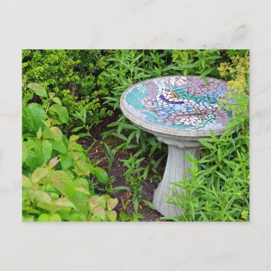 Dekorative Birdbad-Postkarte Postkarte (Vorderseite)