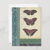 Dekorative Butterfly Brocade von Vision Studio Postkarte (Vorne/Hinten)