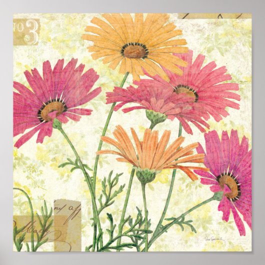 Dekorative Daisies Poster (Vorne)
