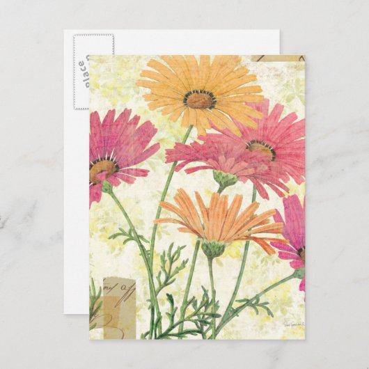 Dekorative Daisies Postkarte (Vorne/Hinten)