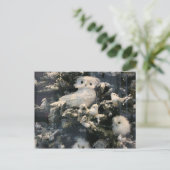 Dekorative Eule auf Weihnachtsbaum Feiertagspostkarte (Stehend Vorderseite)