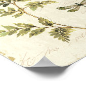 Dekorative Ferns und eine Libelle Poster (Ecke)