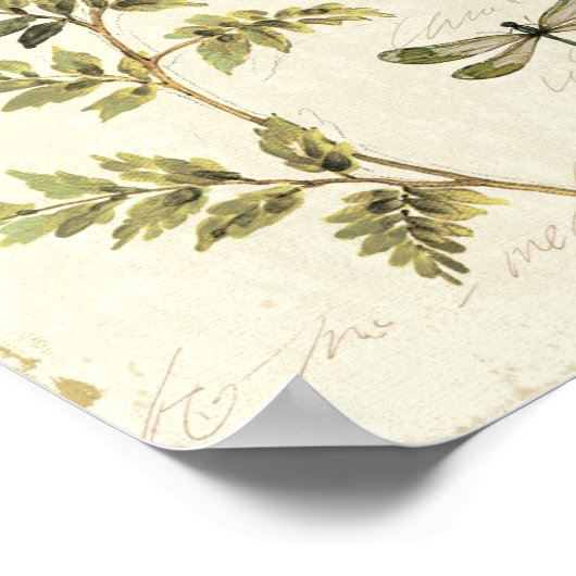 Dekorative Ferns und eine Libelle Poster (Ecke)