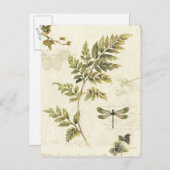 Dekorative Ferns und eine Libelle Postkarte (Vorne/Hinten)