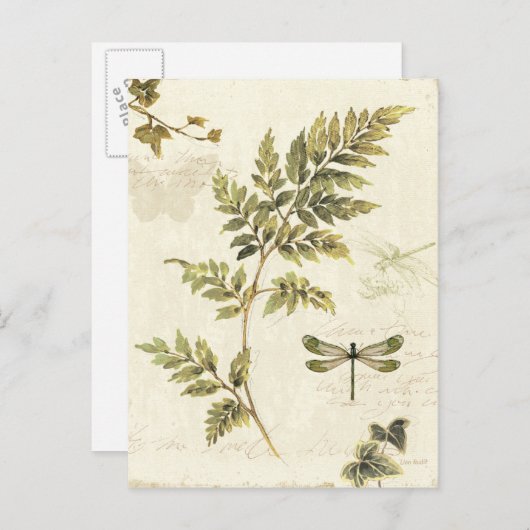 Dekorative Ferns und eine Libelle Postkarte (Vorne/Hinten)