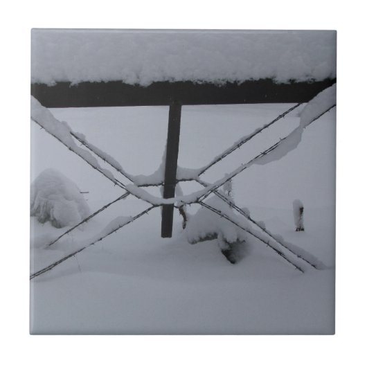 dekorative Fliese (Vorderseite)