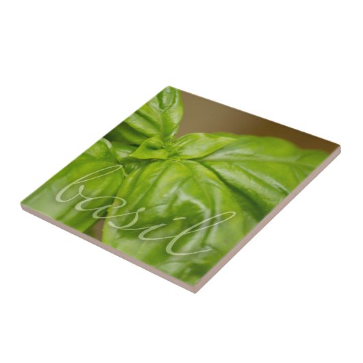 Dekorative Fliese des Basilikums (Seite)