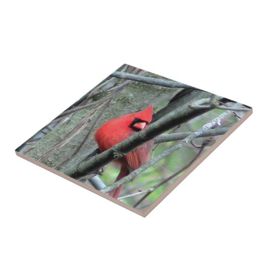 Dekorative Fliese des Frühlings-rote (Seite)