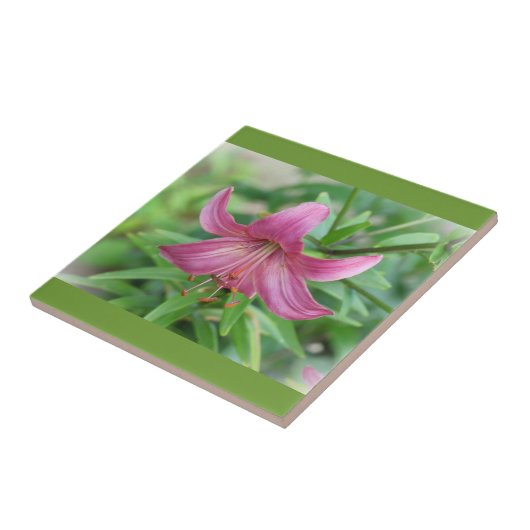 Dekorative Fliese Pink Lily (Seite)