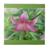 Dekorative Fliese Pink Lily (Vorderseite)