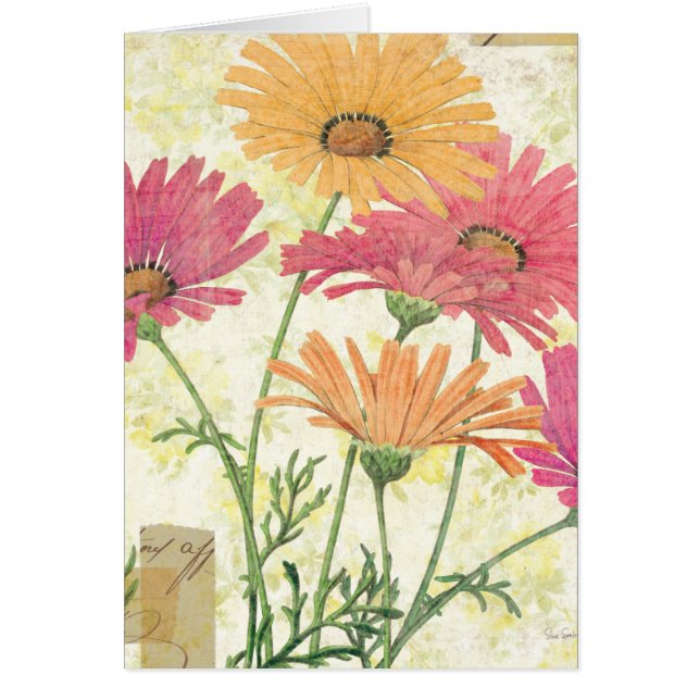 Dekorative Gänseblümchen (Vorne)