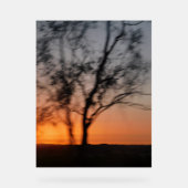 Dekorative Gestaltung von Signalen Acrylschild (Vorderseite)