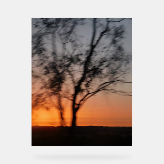 Dekorative Gestaltung von Signalen Acrylschild (Vorderseite)