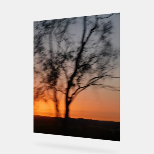 Dekorative Gestaltung von Signalen Acrylschild (Winkel)