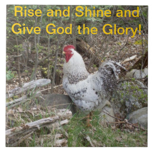 Dekorative Hahn-Fliese Fliese