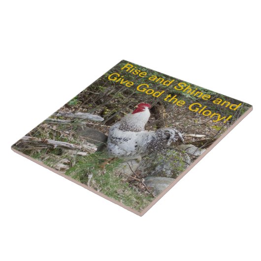 Dekorative Hahn-Fliese Fliese (Seite)