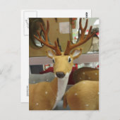 Dekorative Hirsche Postkarte (Vorne/Hinten)