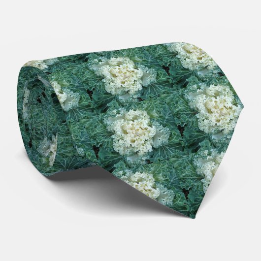 Dekorative Kale Krawatte (Gerollt)