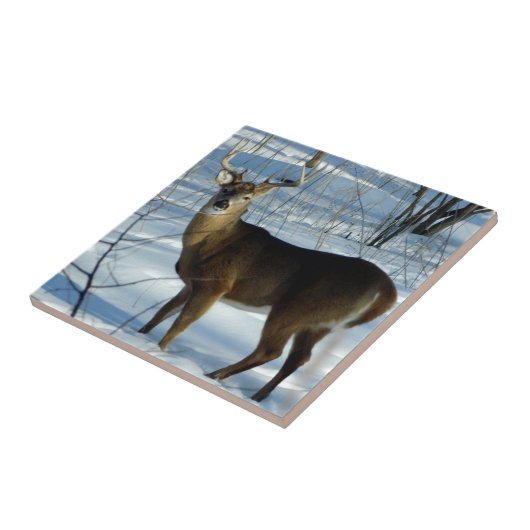 Dekorative Keramik-Fliese der Fliese (Seite)