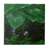 Dekorative Keramik Tile/Hostas mit Raindrops Fliese (Vorderseite)