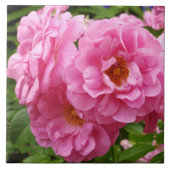 DEKORATIVE KERAMIK TITEL."PINK FRILLY ROSE" FLIESE (Vorderseite)