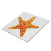 Dekorative Keramikstarfish-Fliese Fliese (Seite)