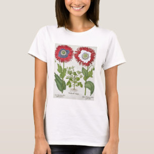 Dekorative Mohnblumen, vom 'Hortus des T-Shirt