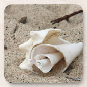 Dekorative Muschel auf Sand Getränkeuntersetzer (Vorderseite)