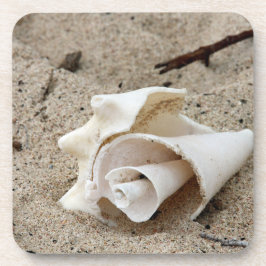 Dekorative Muschel auf Sand Getränkeuntersetzer