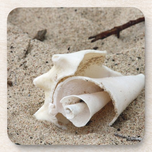 Dekorative Muschel auf Sand Getränkeuntersetzer (Vorderseite)