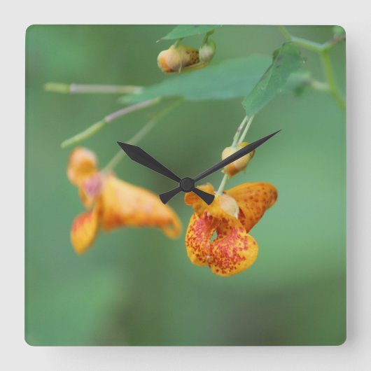 Dekorative Orange Wildblume Quadratische Wanduhr (Vorderseite)