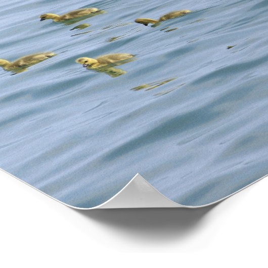 Dekorative Plakate (Ecke)