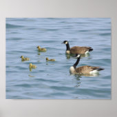 Dekorative Plakate (Vorne)