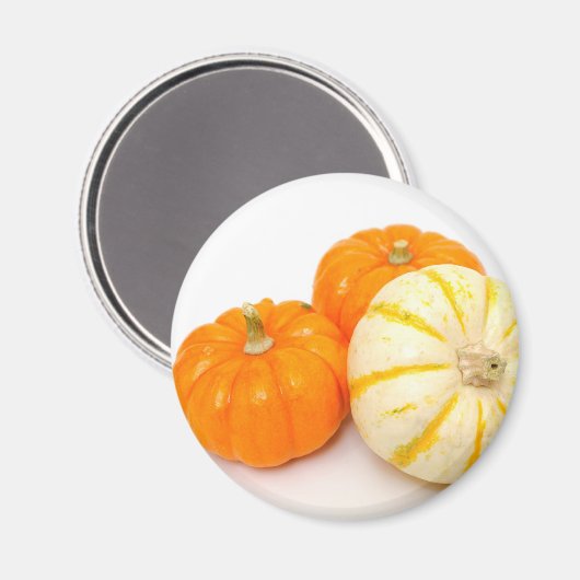 Dekorative Pumpkins Magnet (Vorderseite/Rückseite)