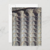 Dekorative Reliefs aus der Osttreppe Postkarte (Vorne/Hinten)