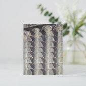 Dekorative Reliefs aus der Osttreppe Postkarte (Stehend Vorderseite)