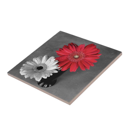 Dekorative Rot-Splash Gerber Daisy auf Monochrom Fliese (Seite)