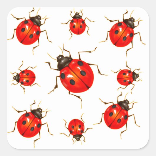 DEKORATIVE ROTE DAME BUG GIFTS QUADRATISCHER AUFKLEBER (Vorderseite)