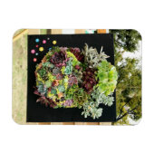 Dekorative Sukkuline Magnet (Horizontal)