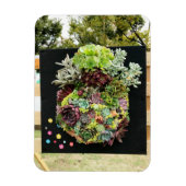 Dekorative Sukkuline Magnet (Vertikal)