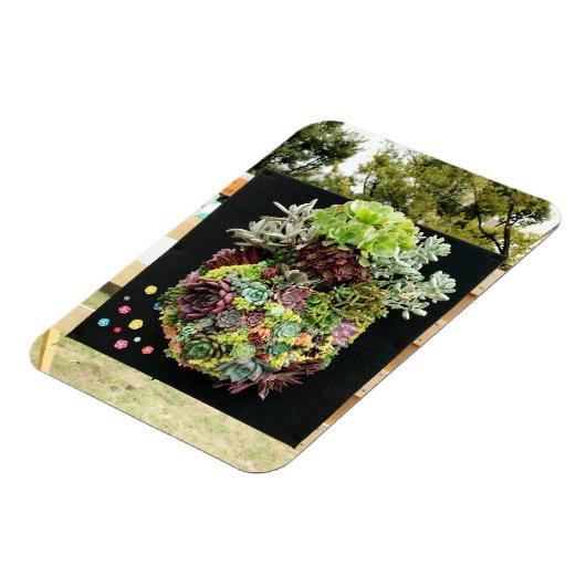 Dekorative Sukkuline Magnet (Linke Seite)