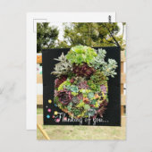Dekorative Sukkuline Postkarte (Vorne/Hinten)