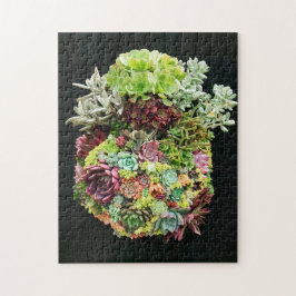 Dekorative Sukkuline Puzzle