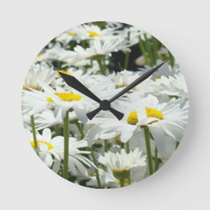 Dekorative Uhren Sommer Weiße Gänseblümchen Blumen